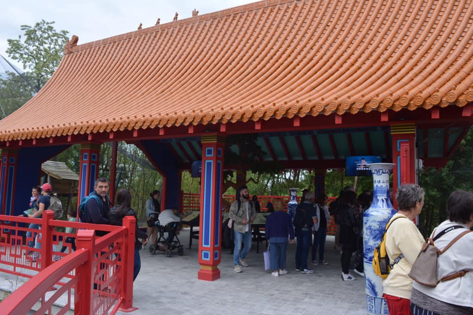 Golden monkeys enclosure