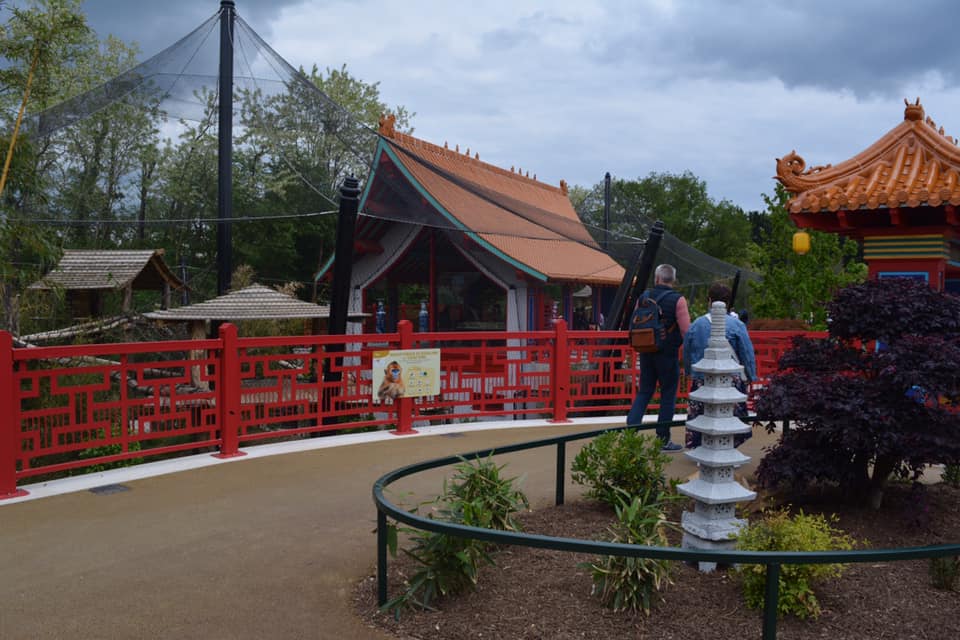 Golden monkeys enclosure