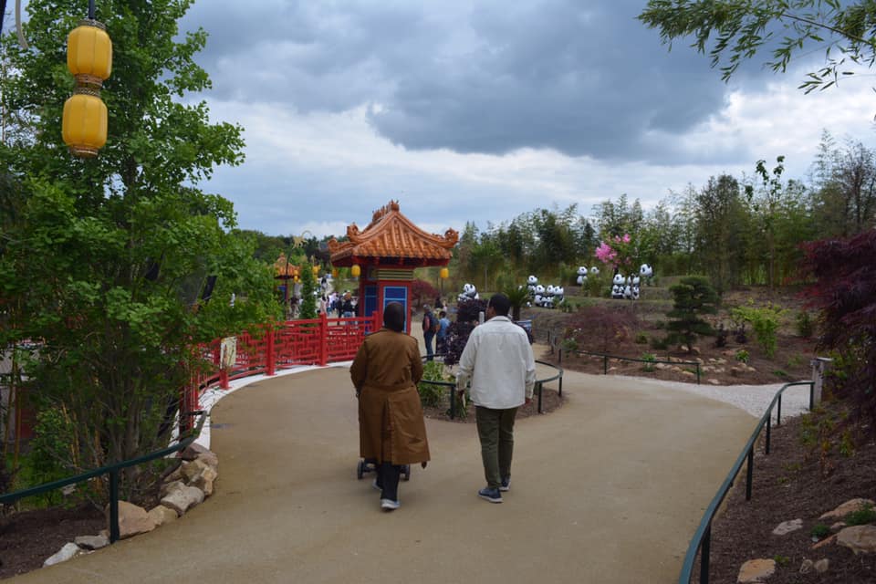 Golden monkeys enclosure