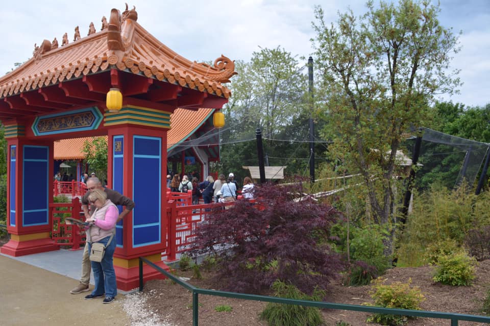 Golden monkeys enclosure