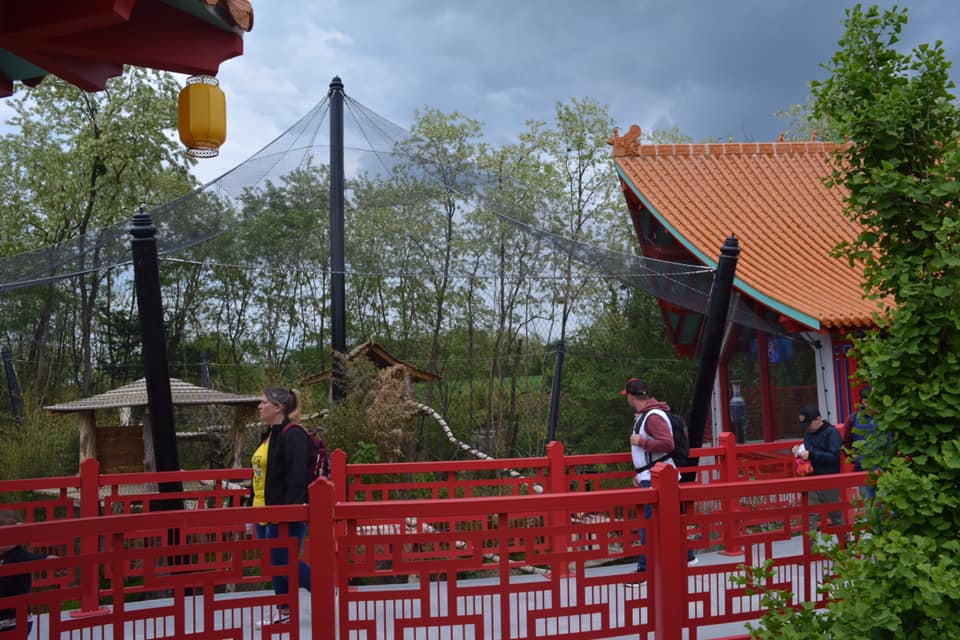 Golden monkeys enclosure