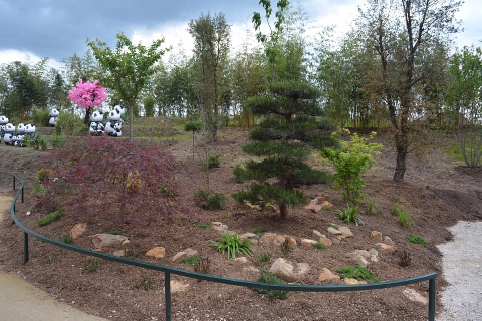 Golden monkeys enclosure