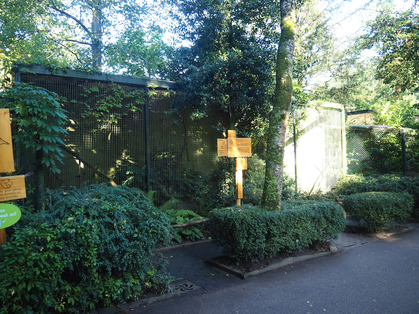 Golden pheasant aviary, 2023-09-24