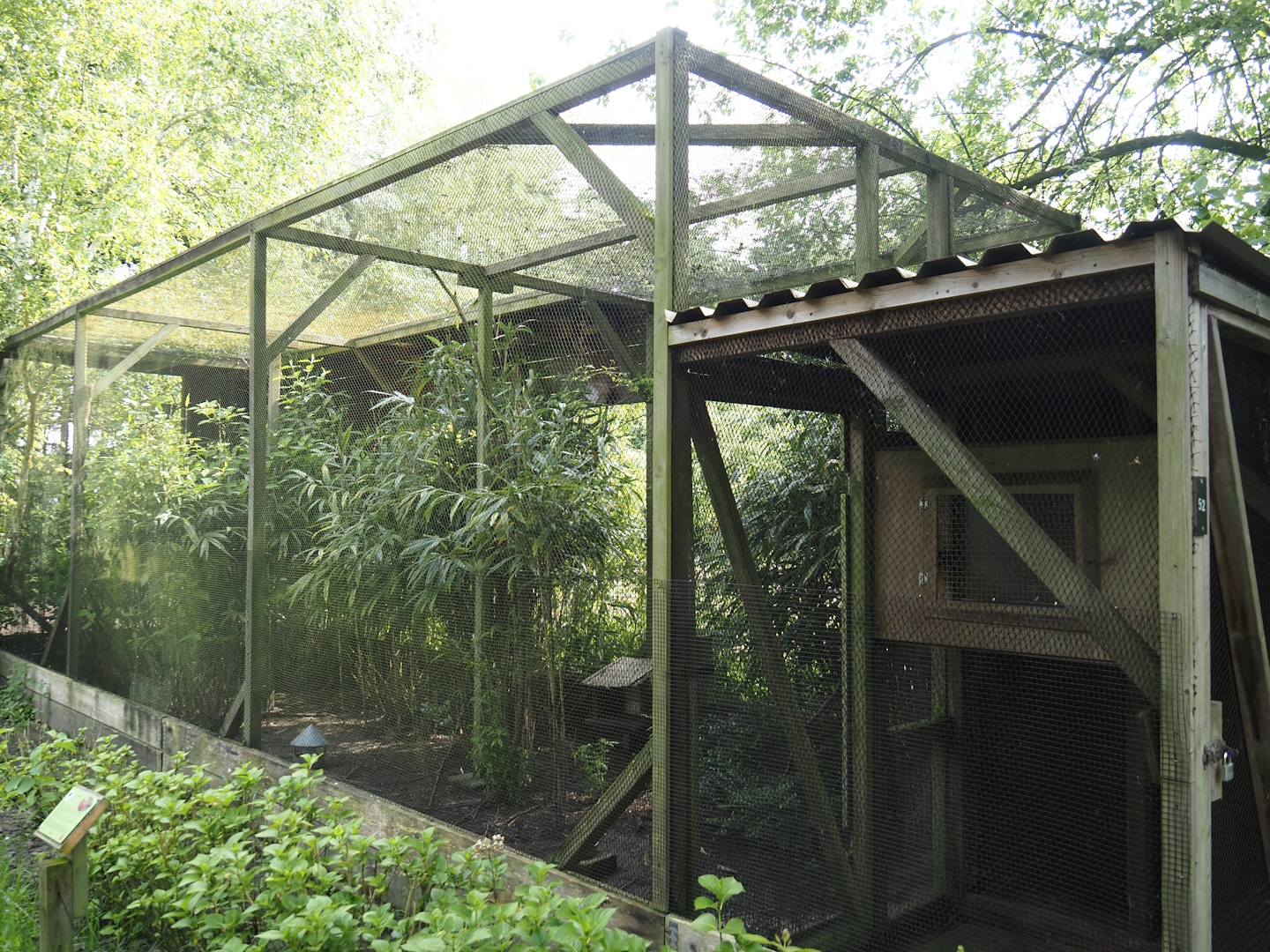 Golden pheasant aviary, 2024-05-11