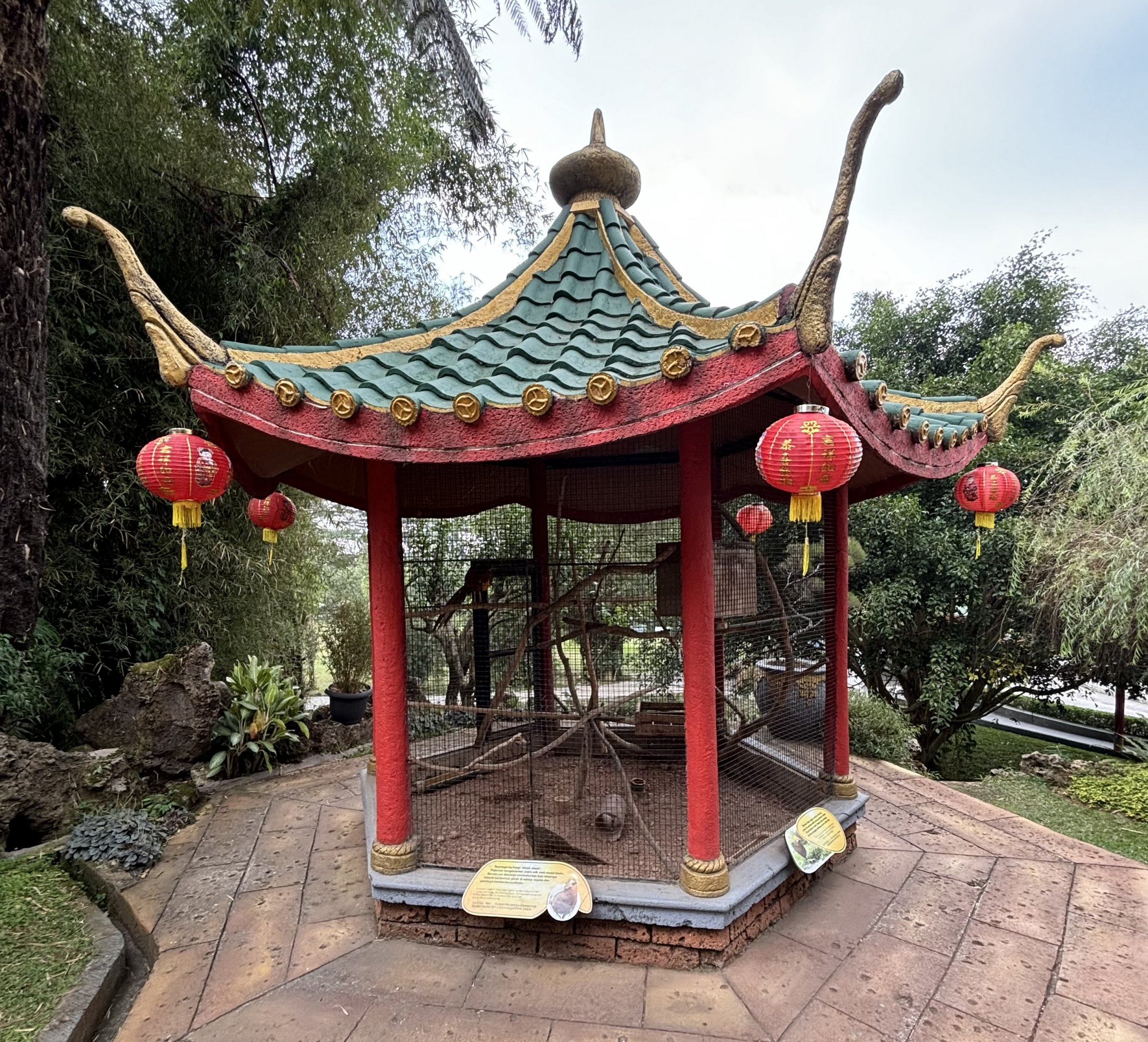 Golden Pheasant Aviary - Giant Panda Complex