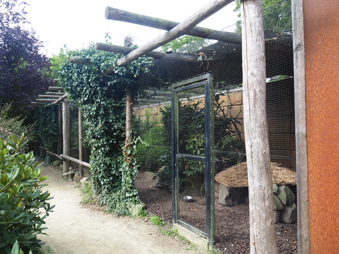 Golden pheasant aviary in the entrance area, 2023-08-17