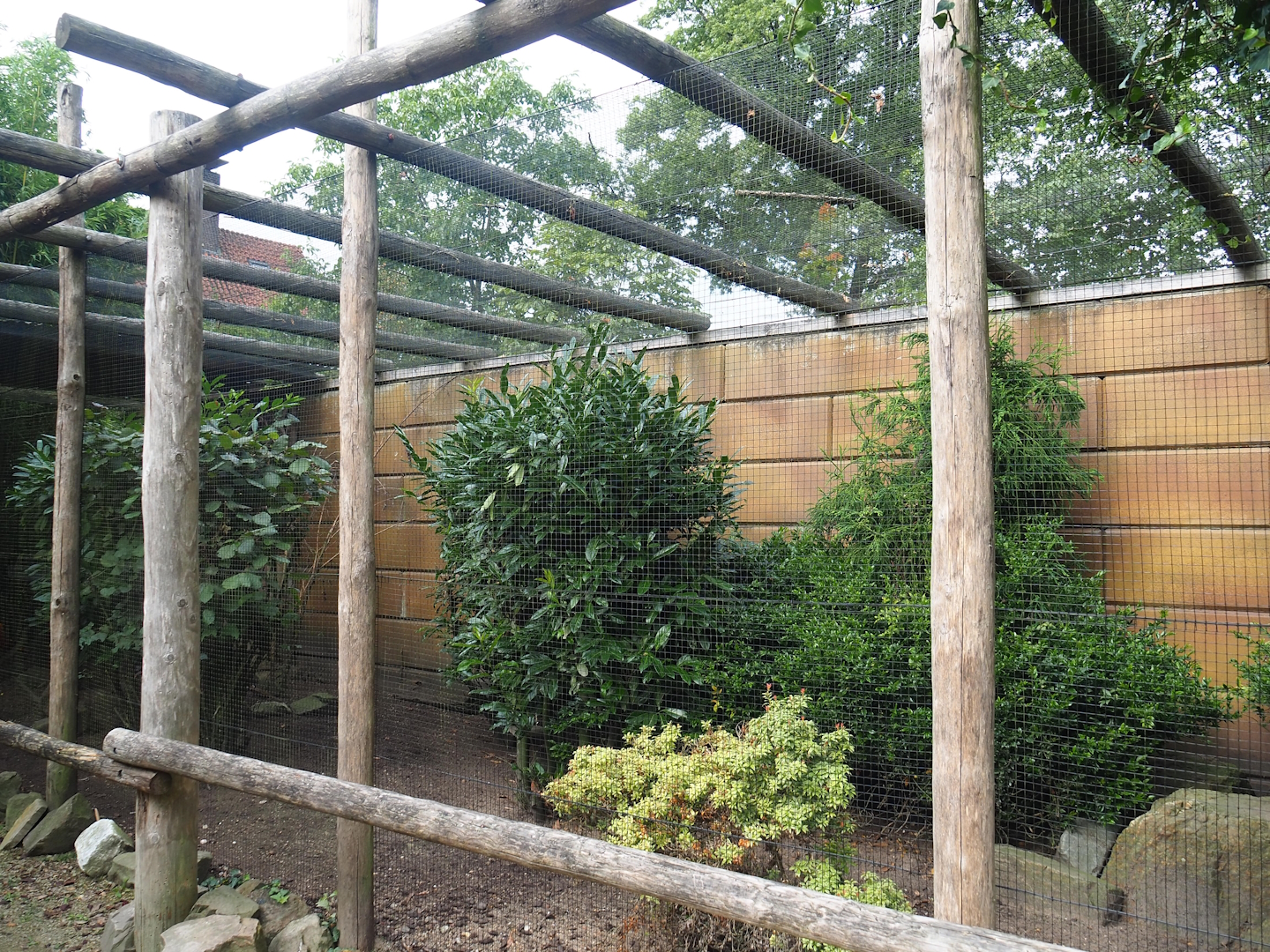 Golden pheasant aviary in the entrance area, 2023-08-17