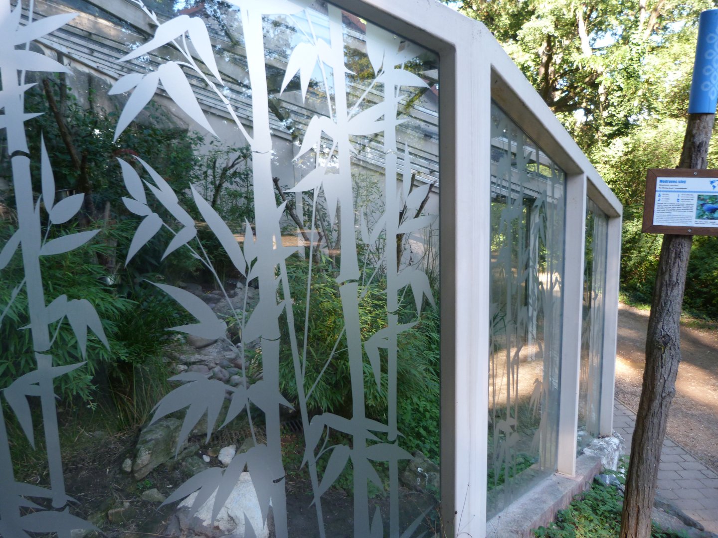 Golden pheasant, Little grebe and Blue whistling thrush exhibit -Zoo Plzeň (2025)