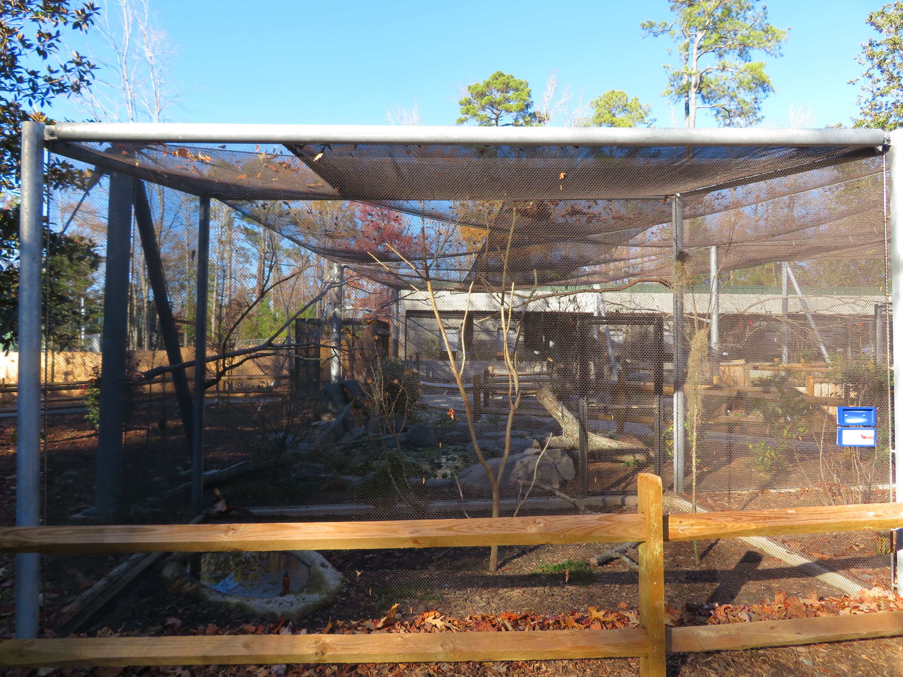 Golden Pheasant Side Cage