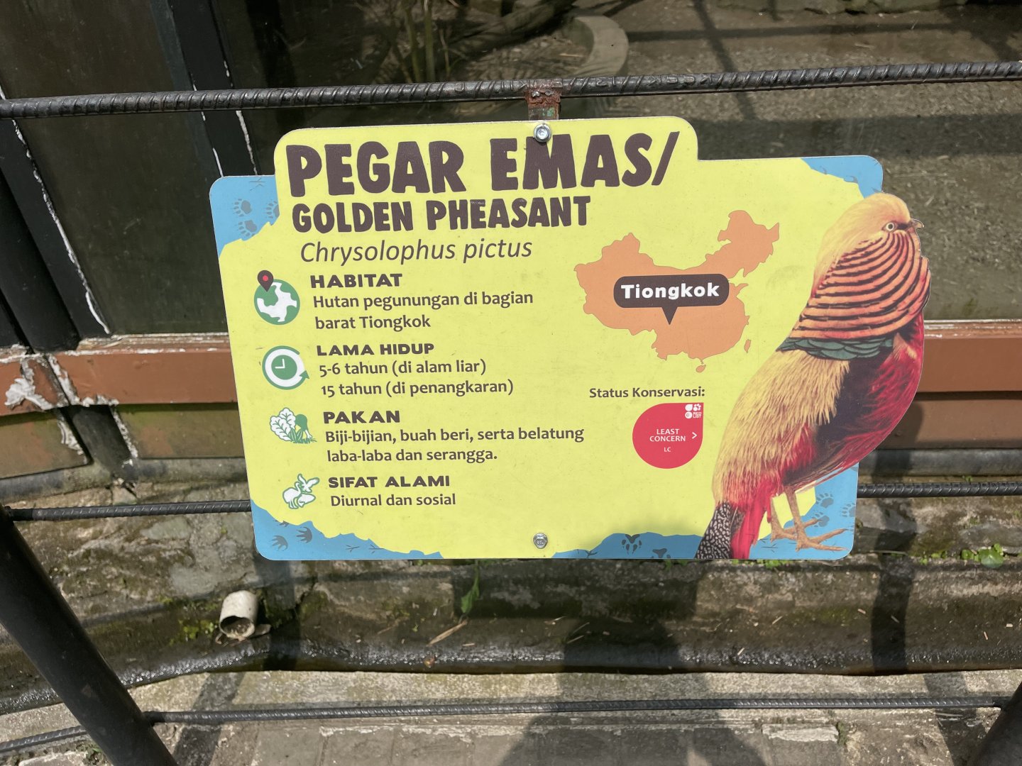 golden pheasant signage