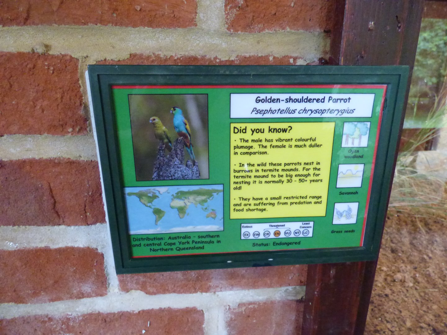 Golden-shouldered Parrot signage