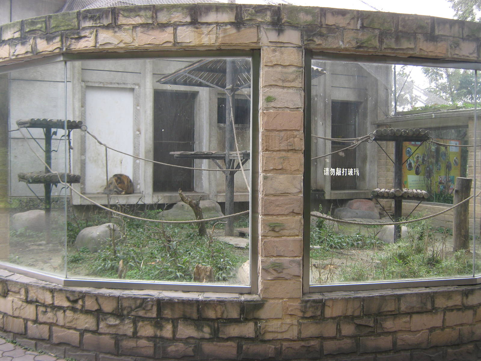 golden snub-nosed monkey cage