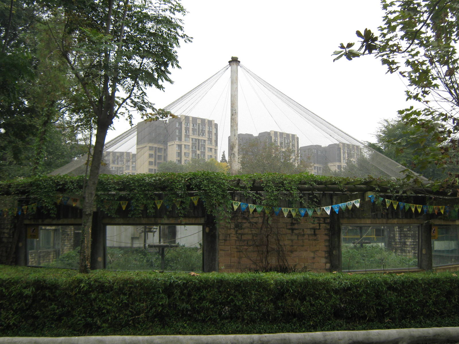 golden snub-nosed monkey cage