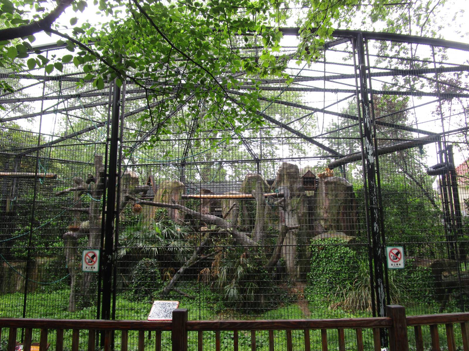 Golden Snub-nosed Monkey Enclosure - 16/04/2016