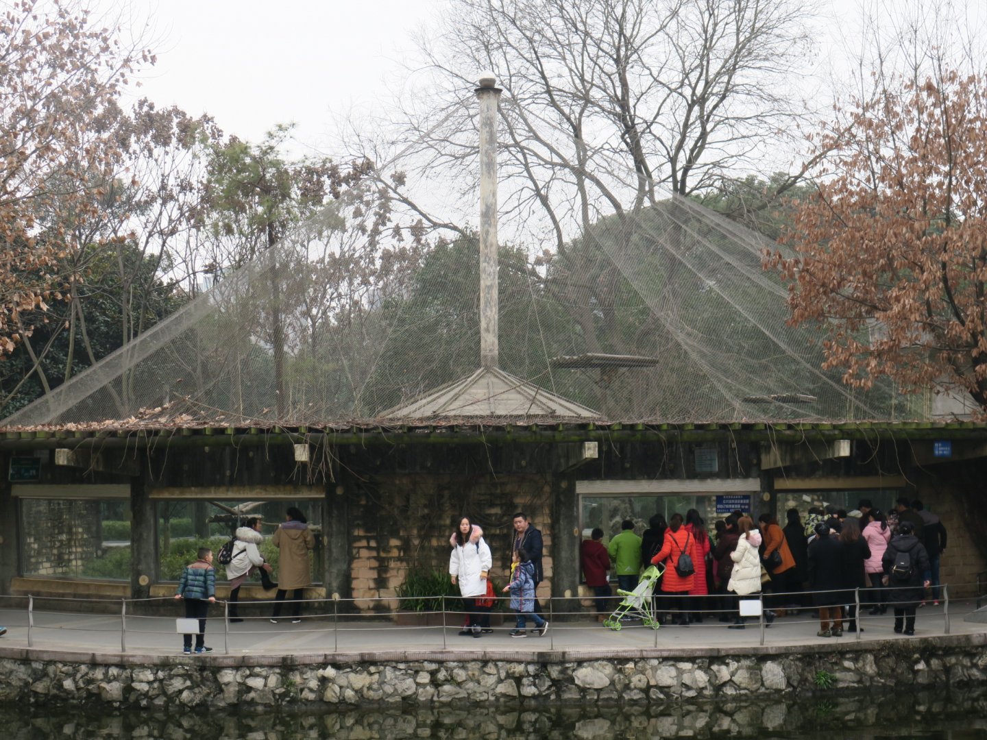 golden snub-nosed monkey enclosure