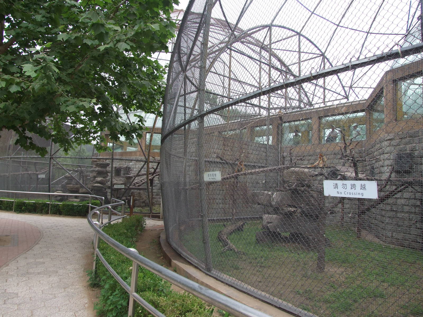 Golden snub-nosed monkey exhibit