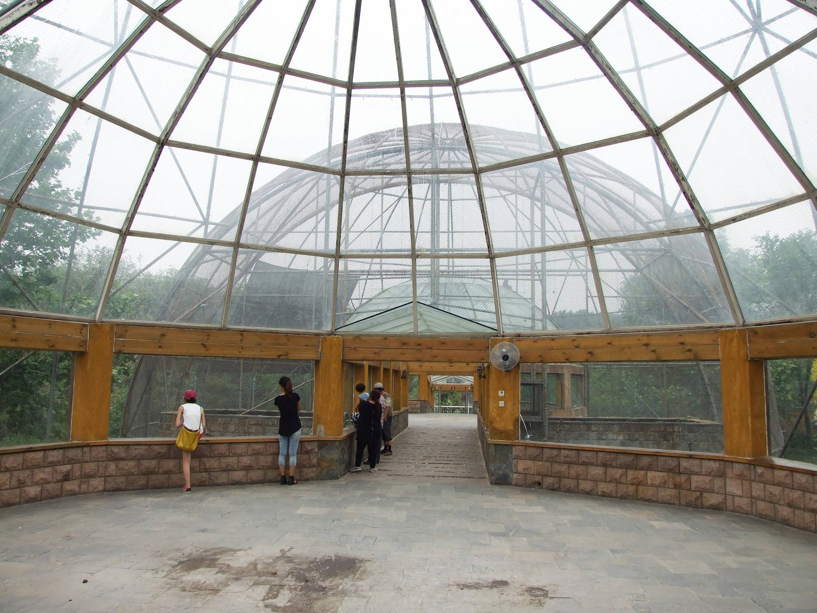 Golden snub-nosed monkey exhibit