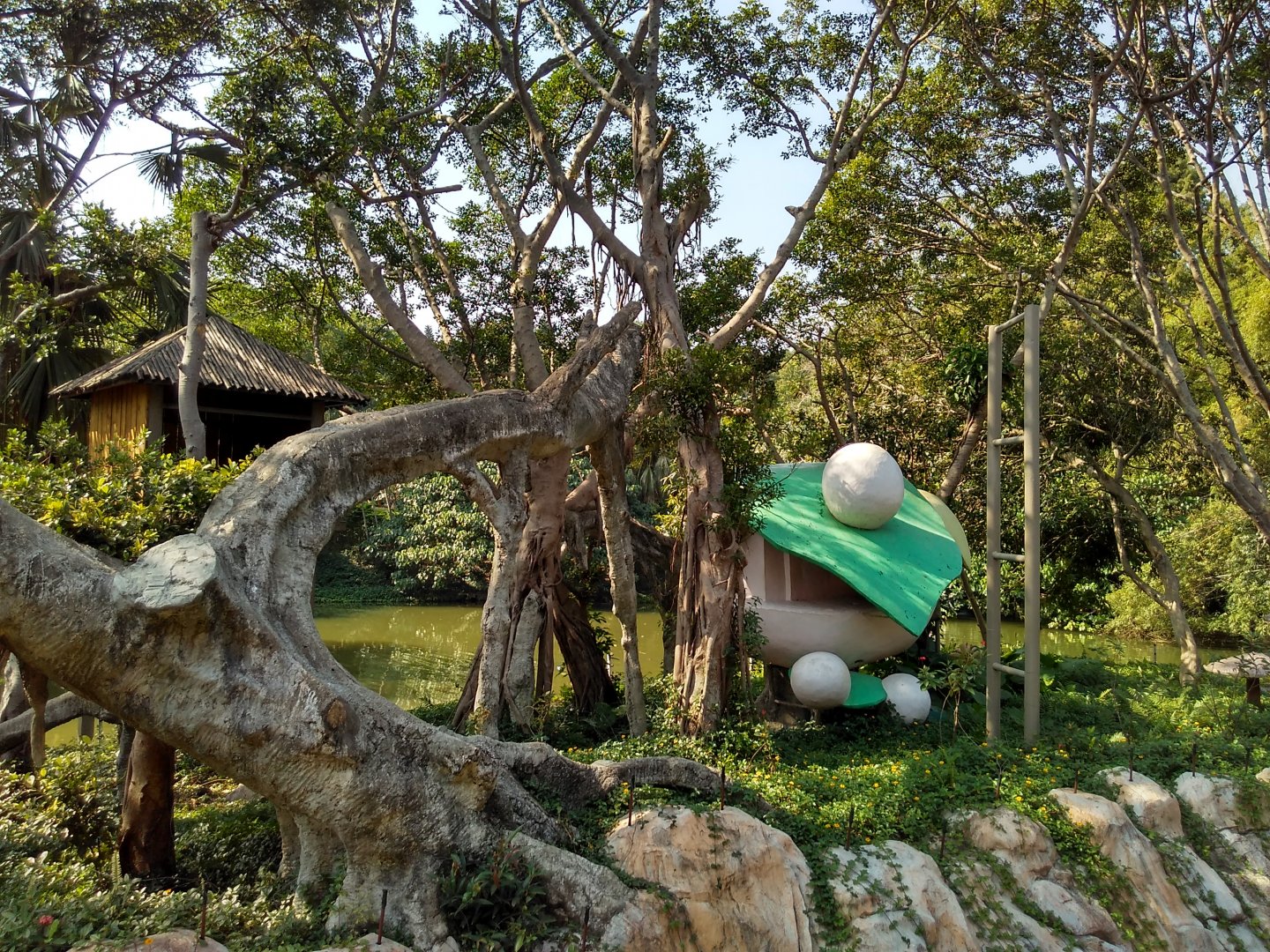 Golden snub-nosed monkey exhibit