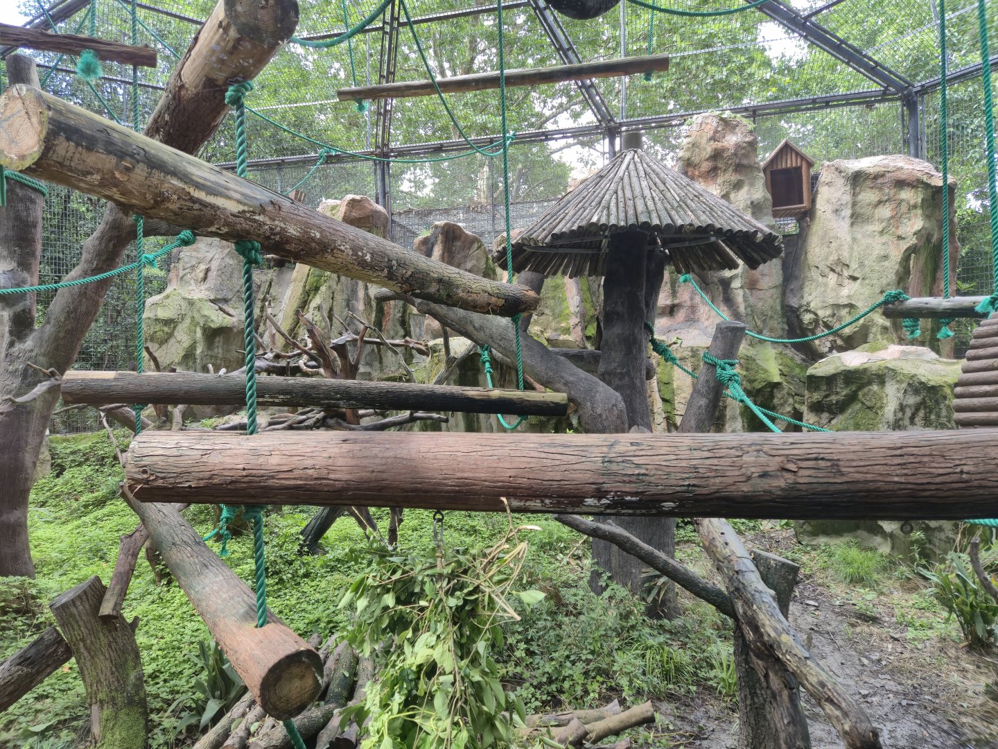 Golden Snub-nosed Monkey exhibit