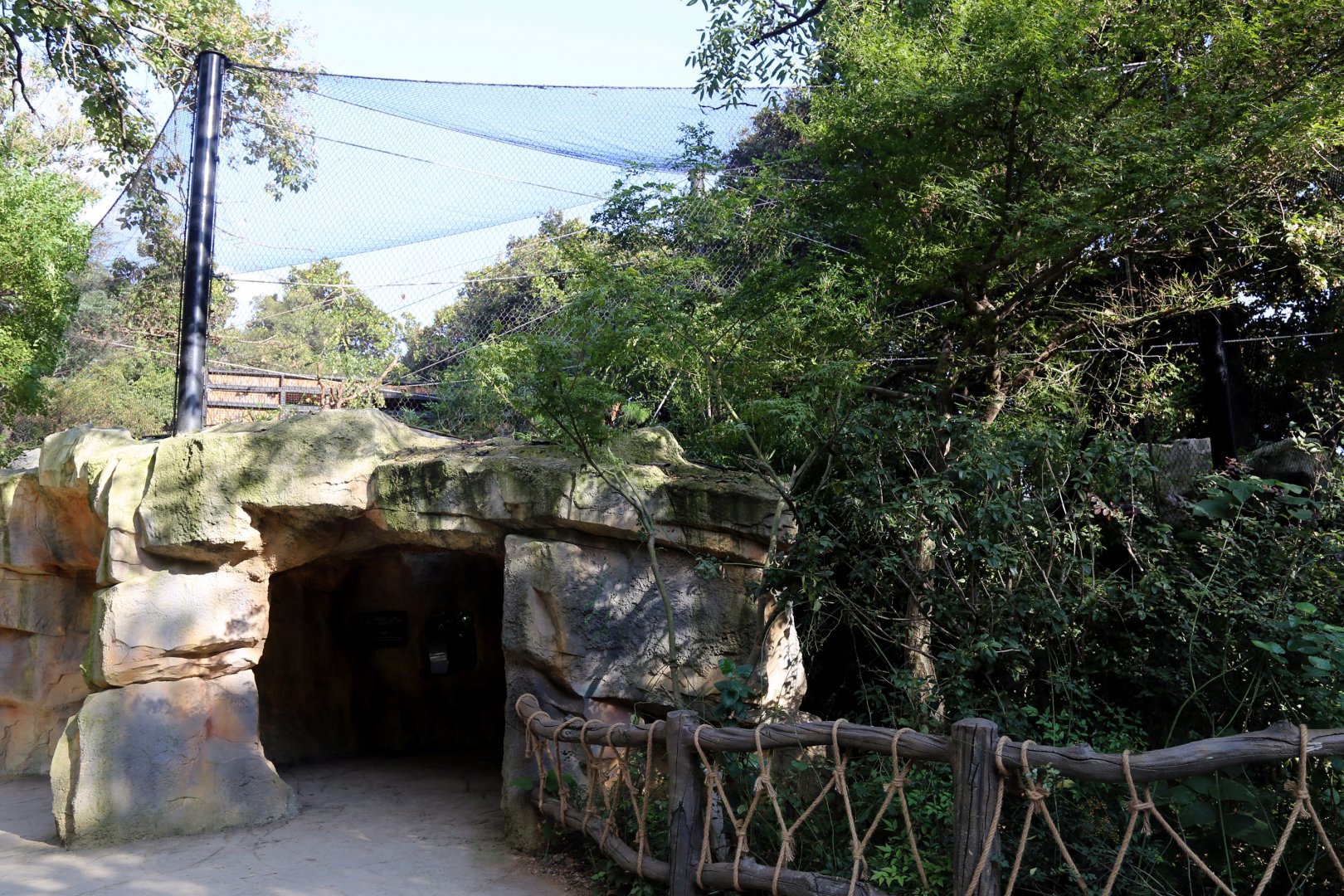 Golden Snub-nosed Monkey Exhibit
