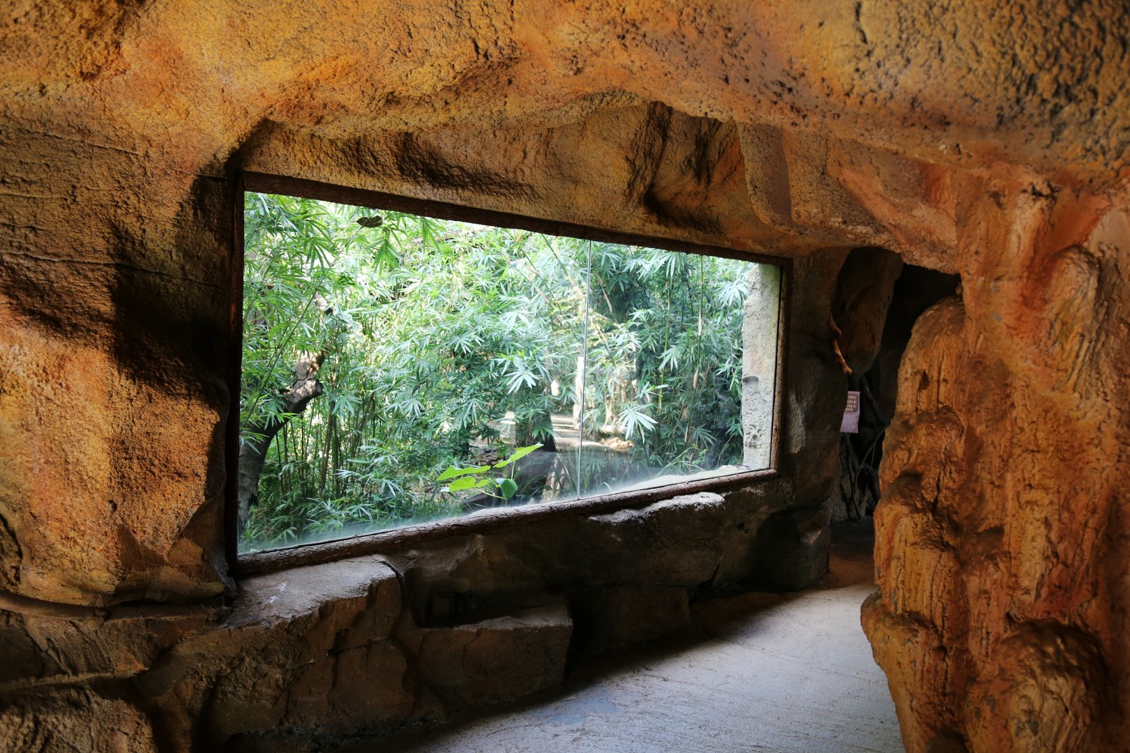 Golden Snub-nosed Monkey Exhibit