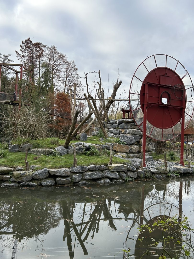 Golden snub-nosed monkey exhibit
