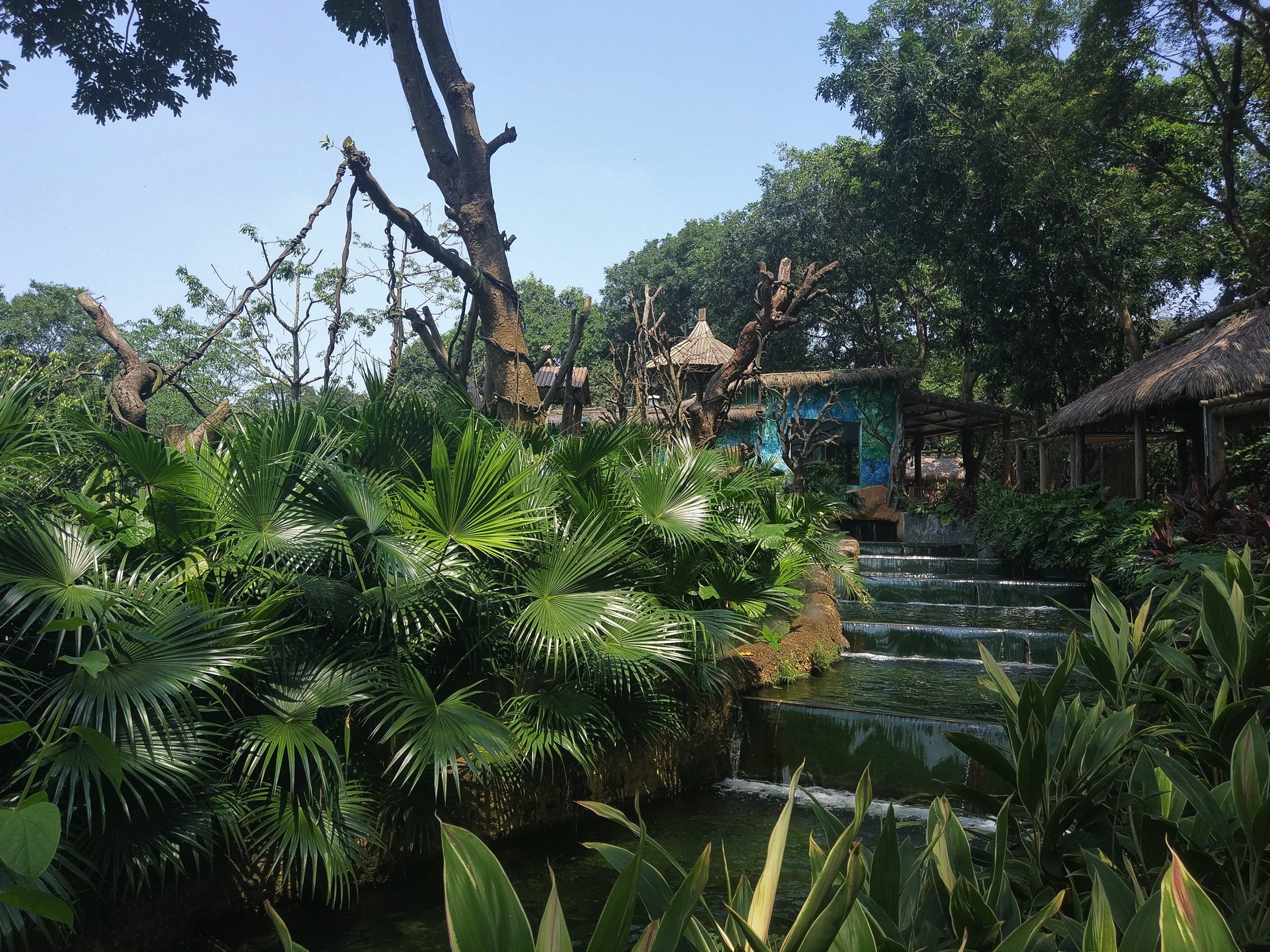 Golden Snub-nosed Monkey Moat