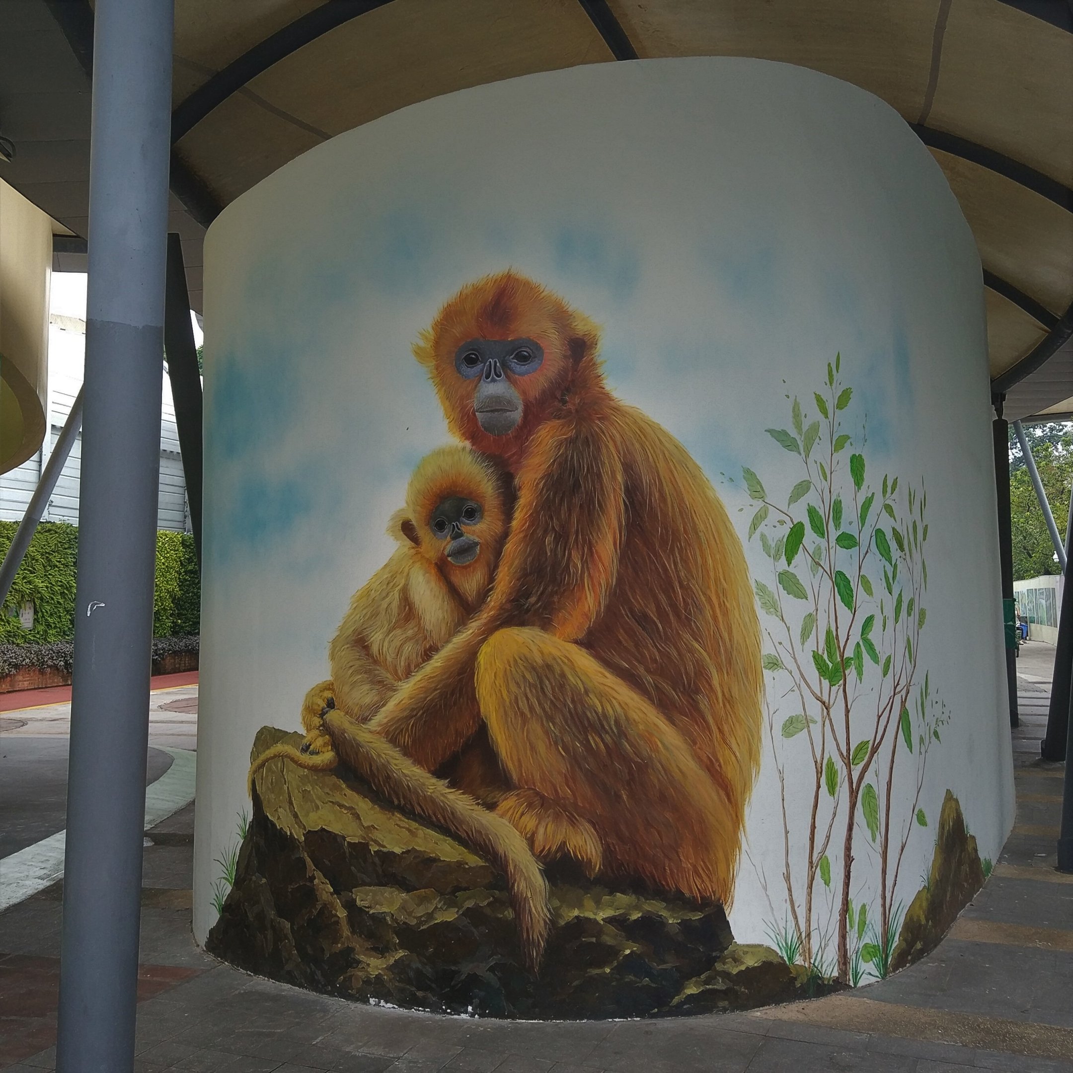 Golden Snub-nosed Monkey Mural