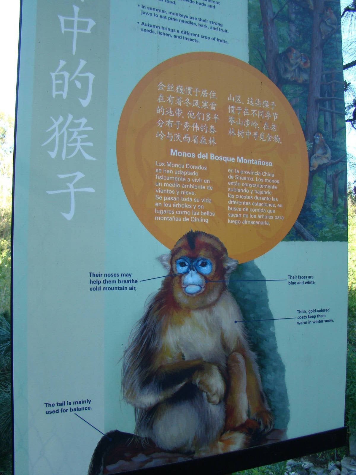Golden Snub-nosed Monkey sign at the Los Angeles Zoo