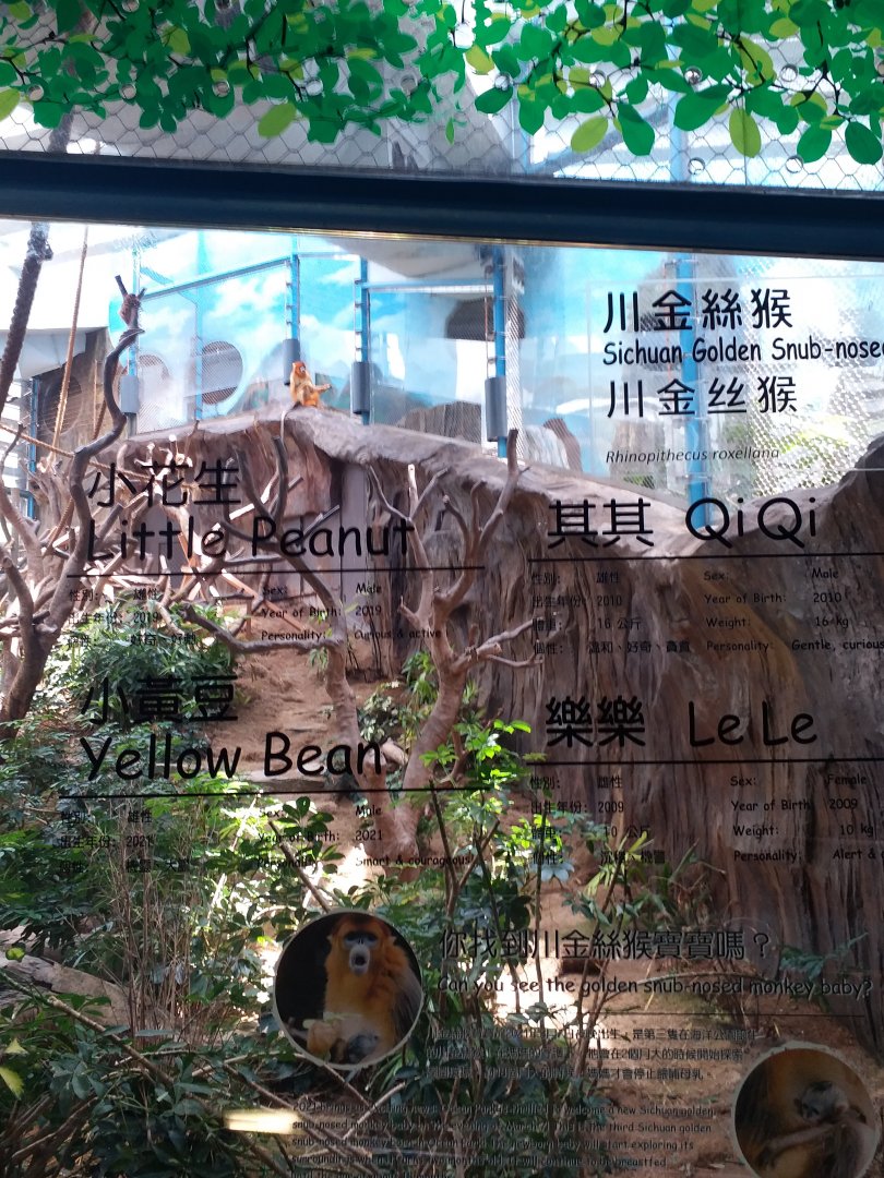 Golden snub nosed monkey signage