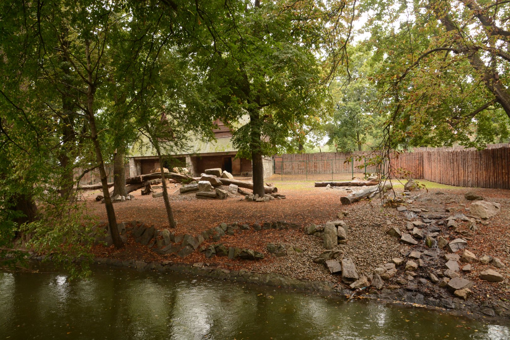 Golden Takin enclosure