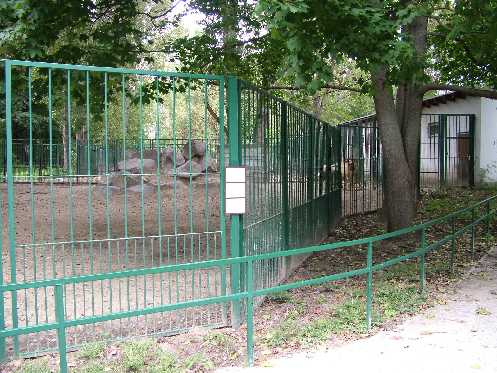 Golden Takin Exhibit at Tierpark Berlin, 30/08/11
