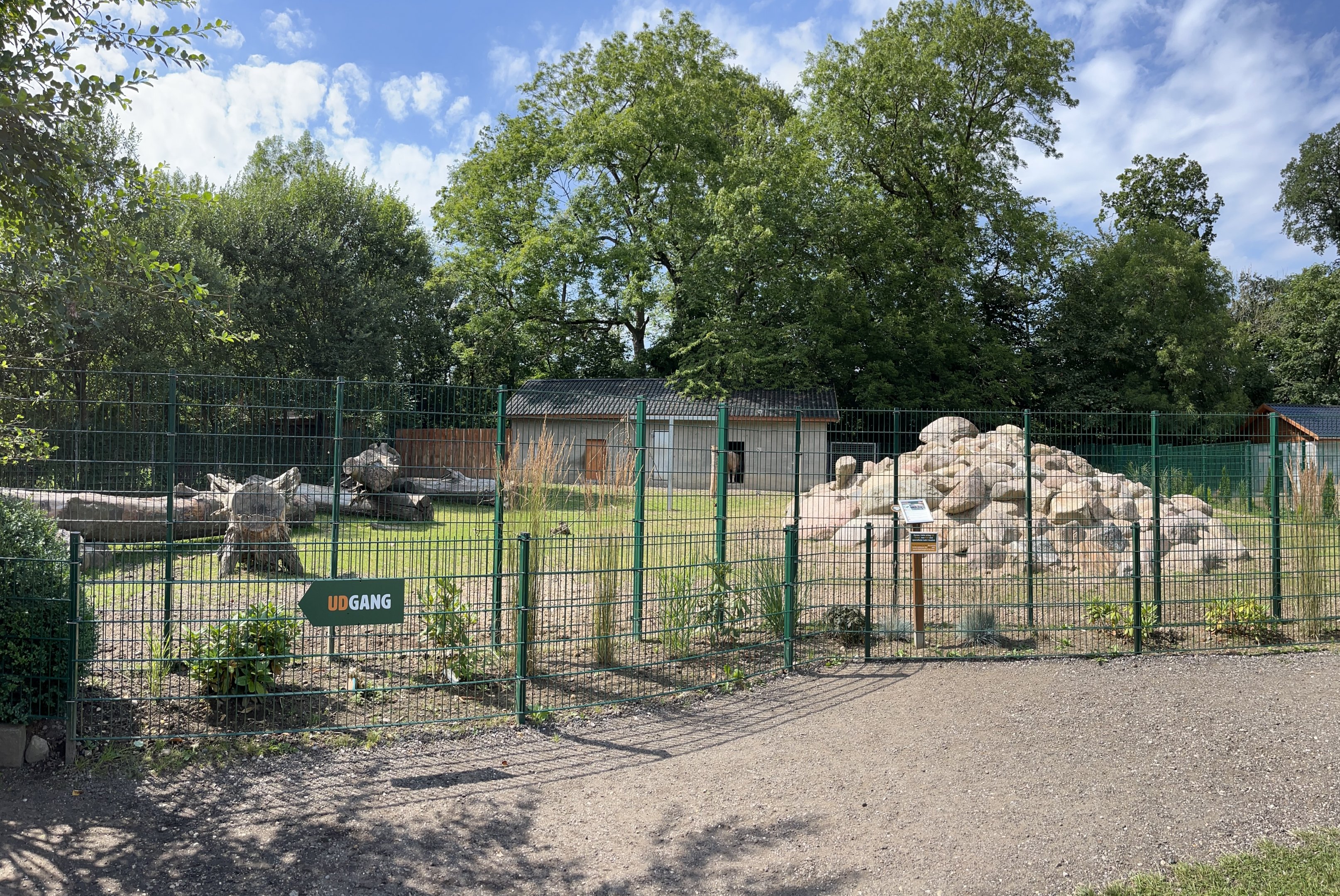 Golden Takin Exhibit