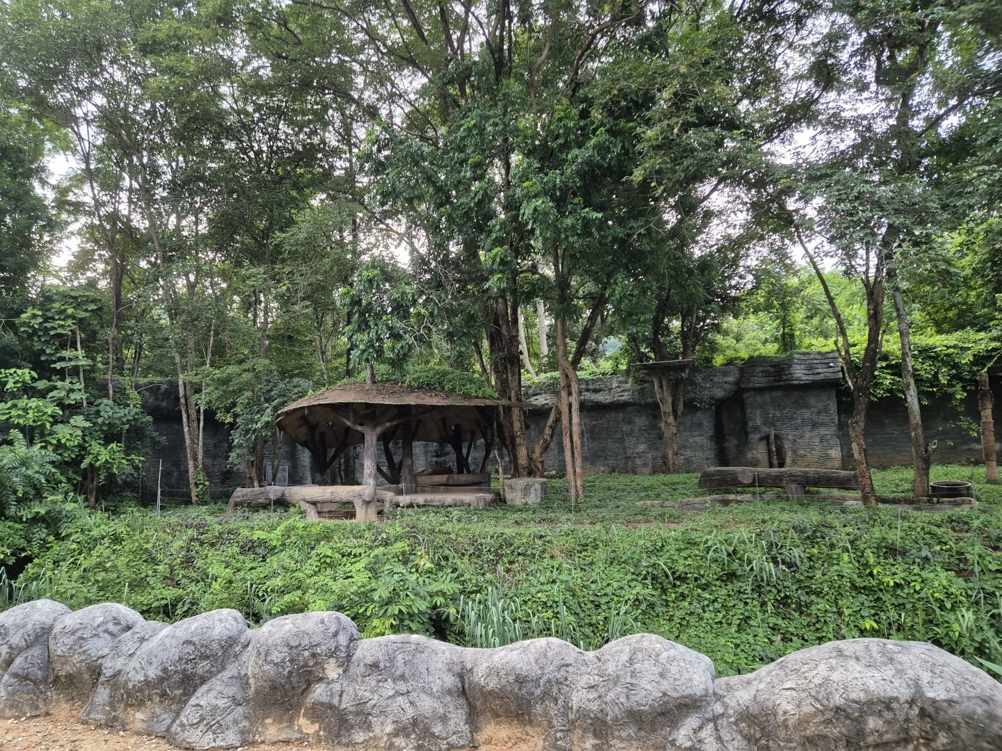 Golden Tiger exhibit