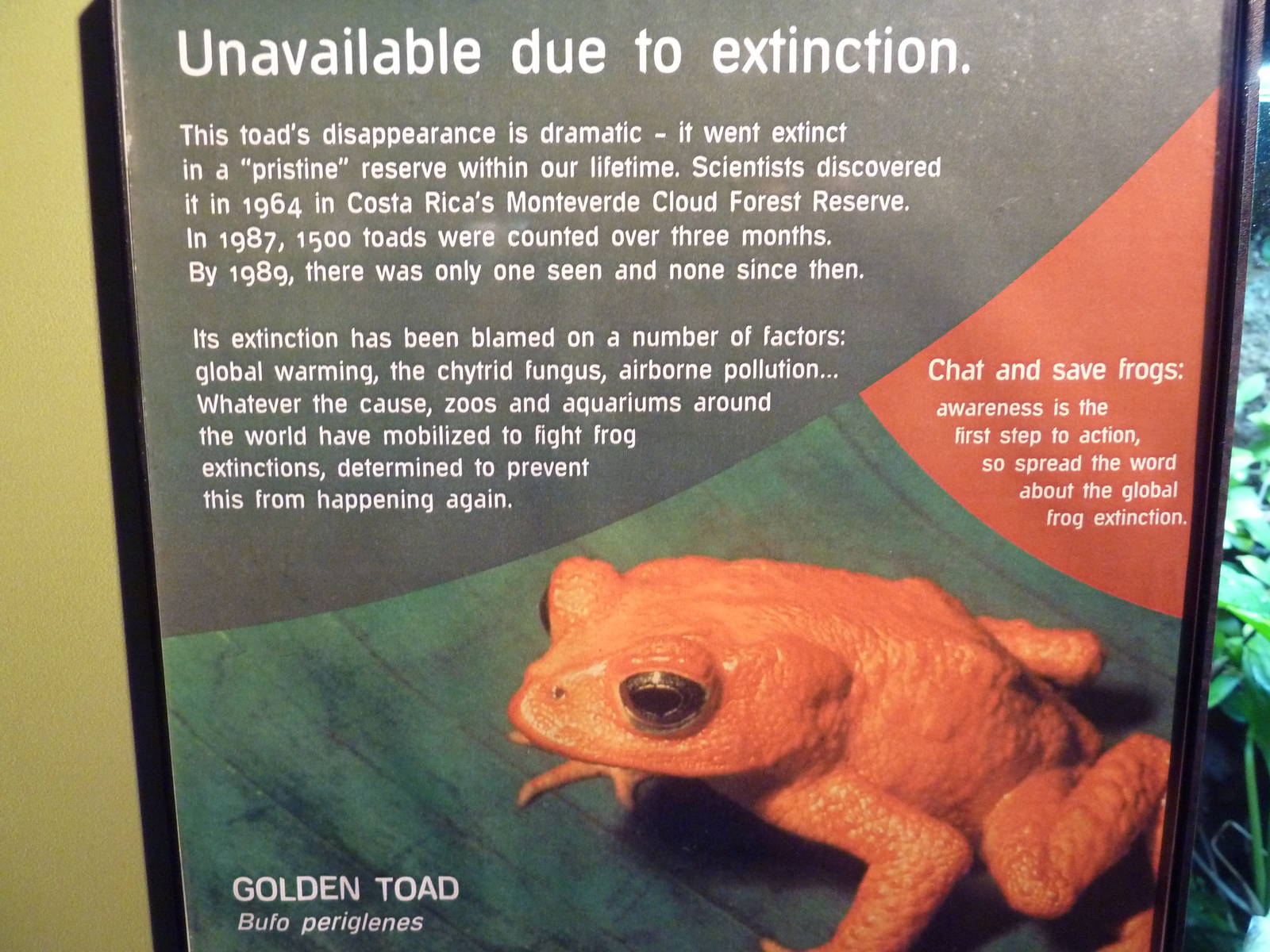 Golden Toad Signage - Extinct Species