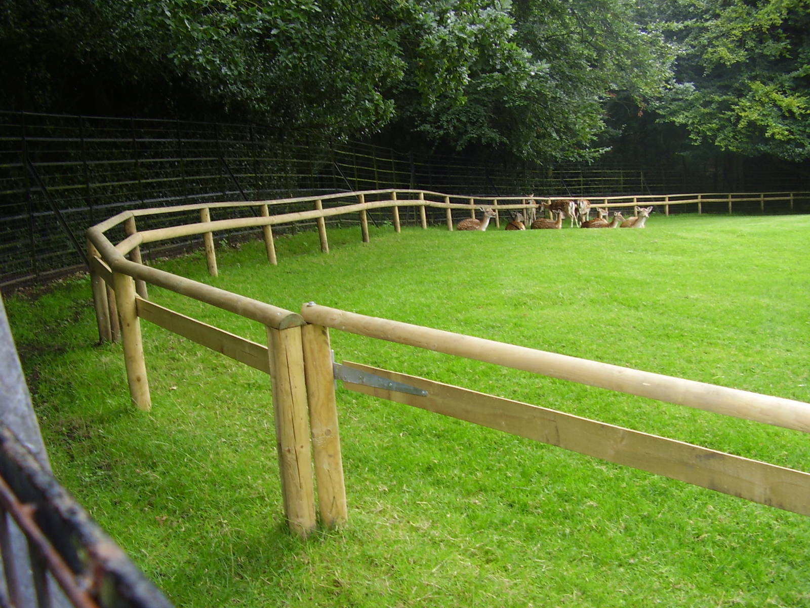 Golder's Hill Park Zoo, London