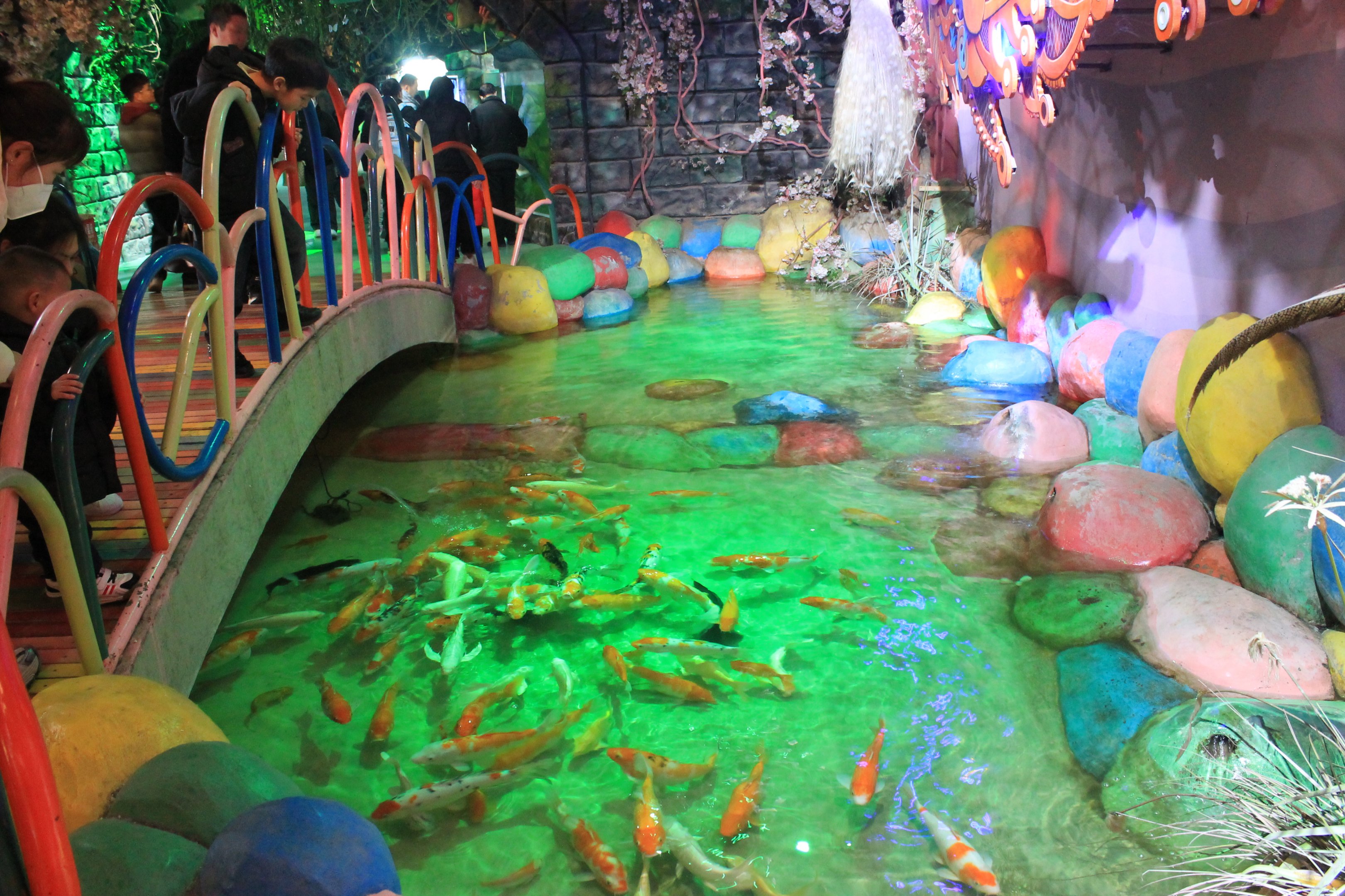 Goldfish and Koi pool at Fantasy Aquarium, Xi'an