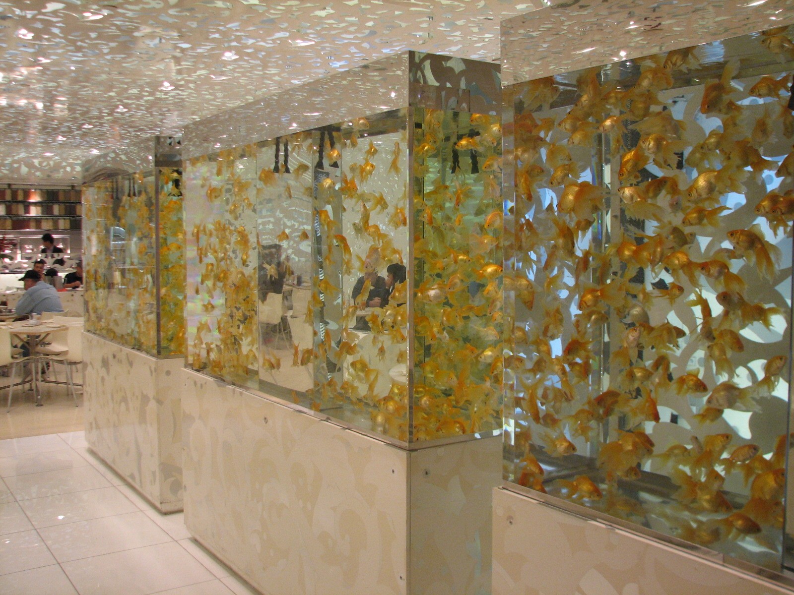Goldfish Aquariums in Beijing Noodle No. 9 at Caesar's Palace in Las Vegas