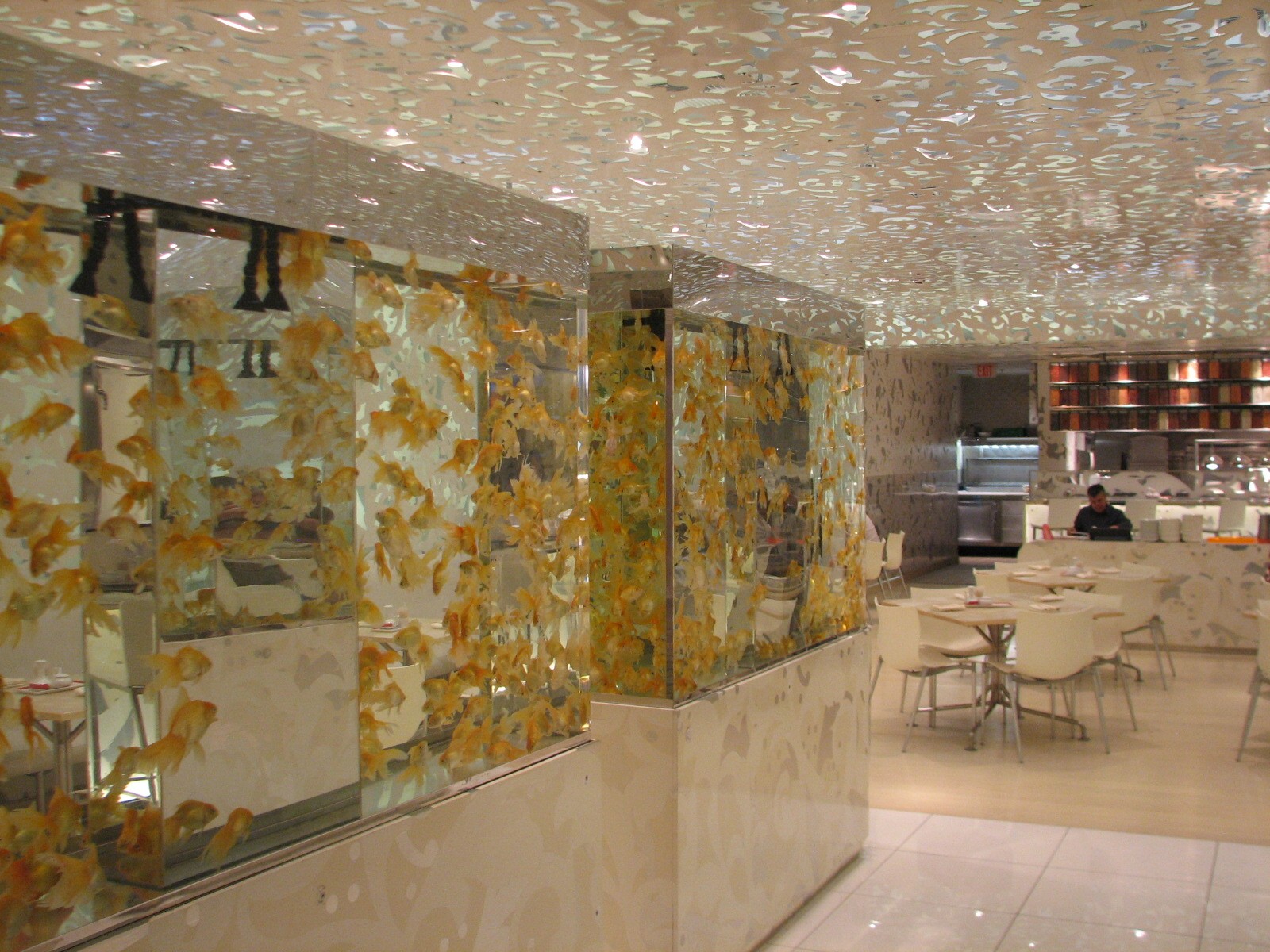 Goldfish Aquariums in Beijing Noodle No. 9 at Caesar's Palace in Las Vegas