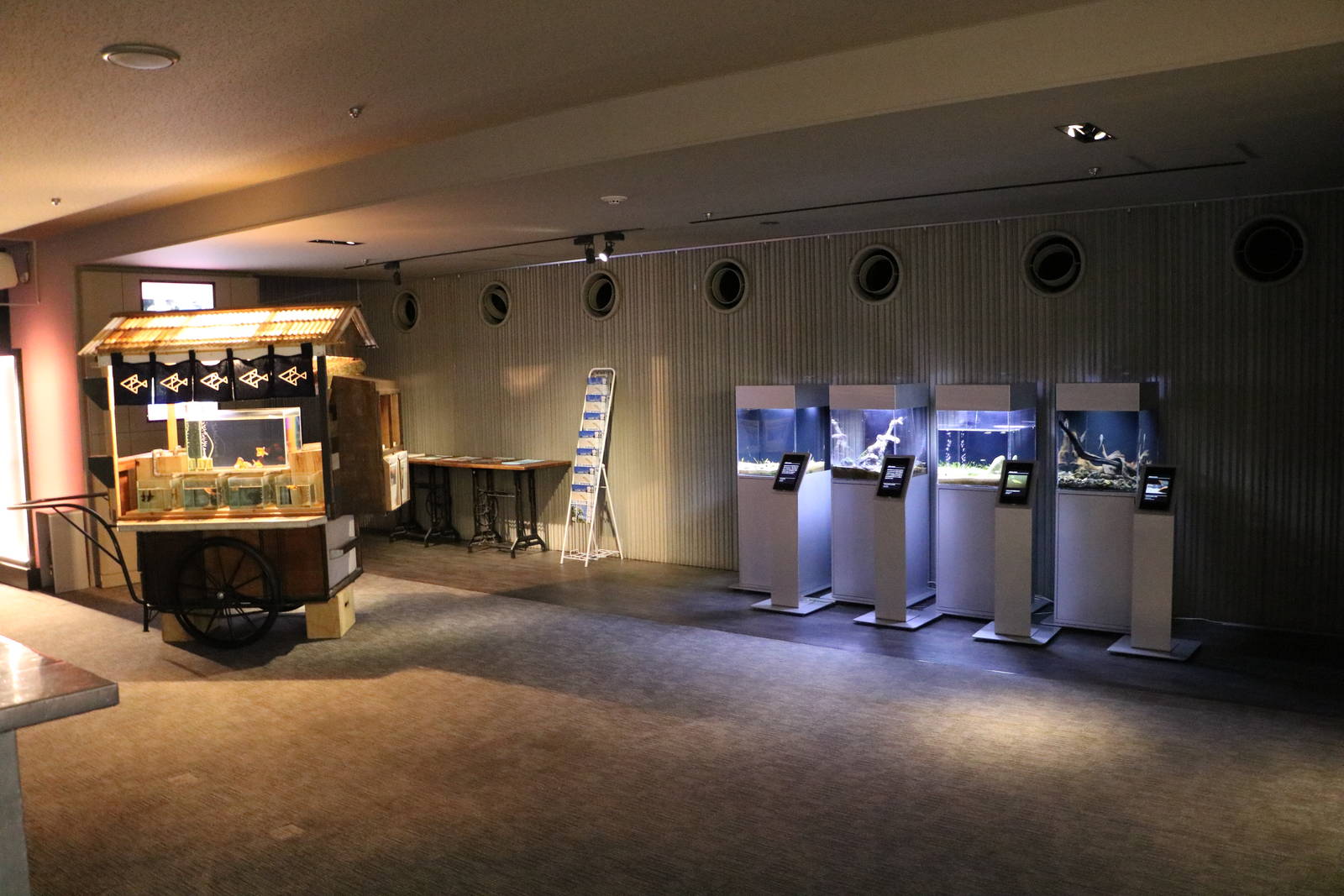 Goldfish cart with freshwater tanks - Sumida Aquarium, February 2016