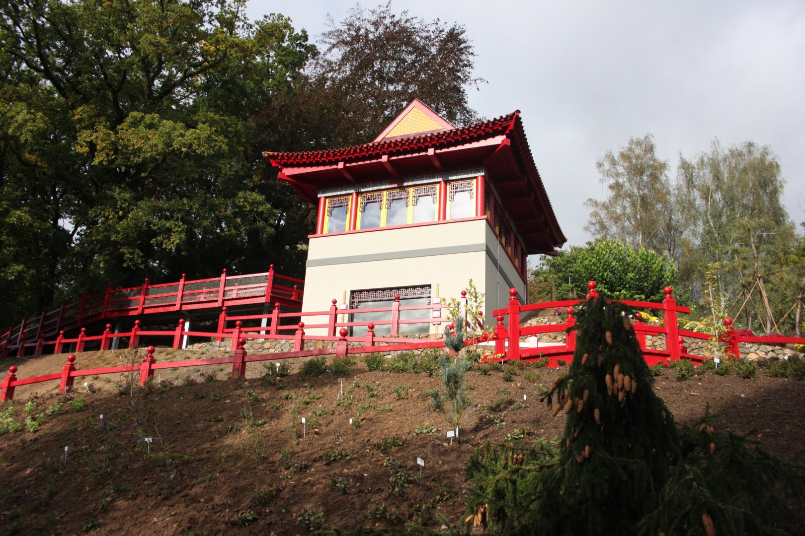 Goldfish house - general look