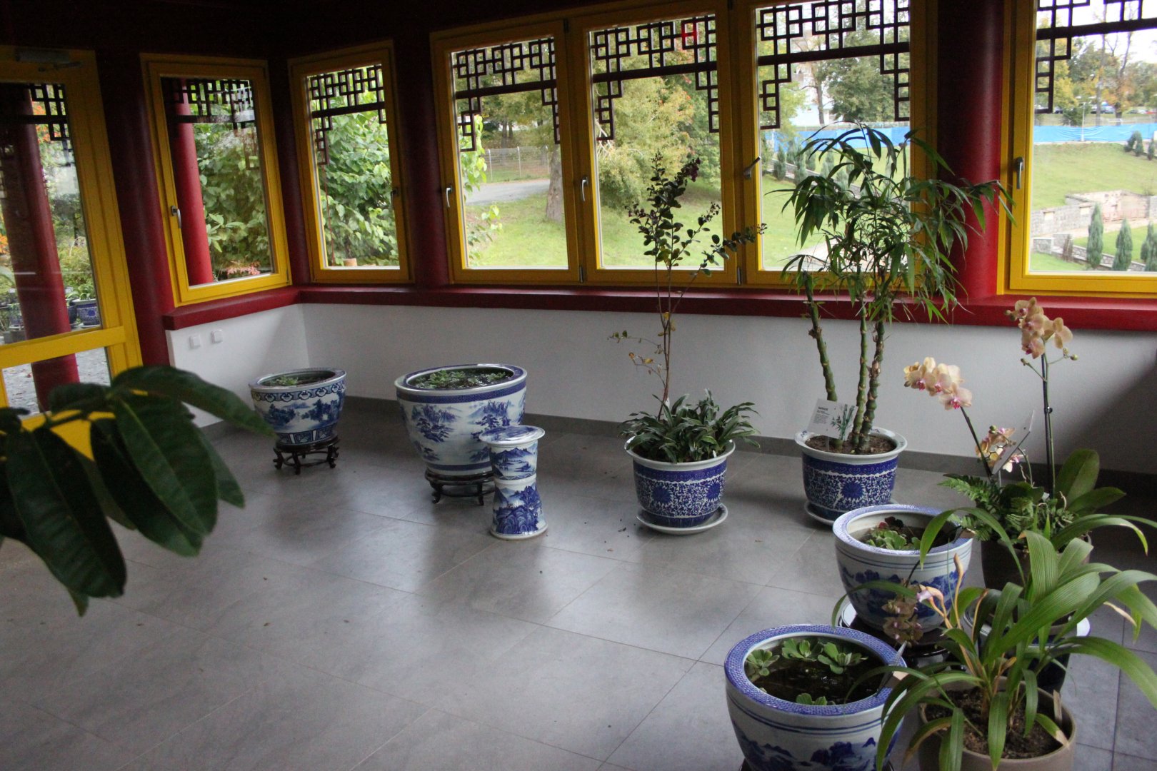 Goldfish house - indoors