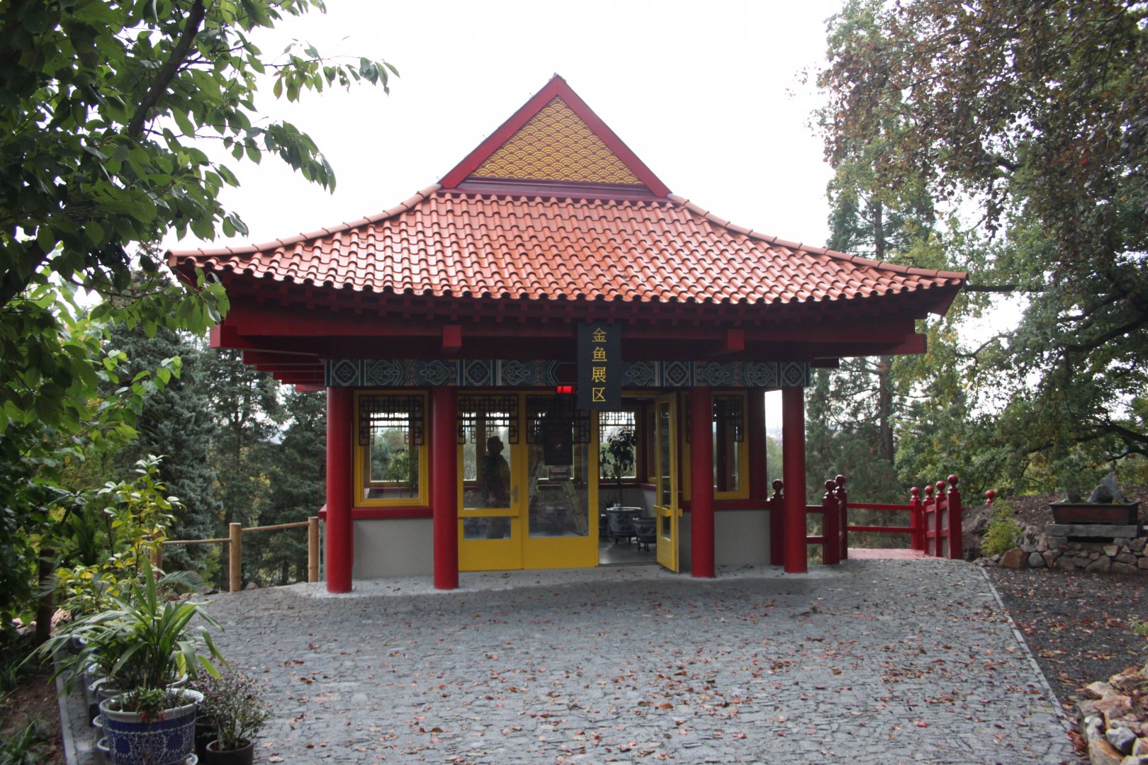 Goldfish house - upper level look from outside