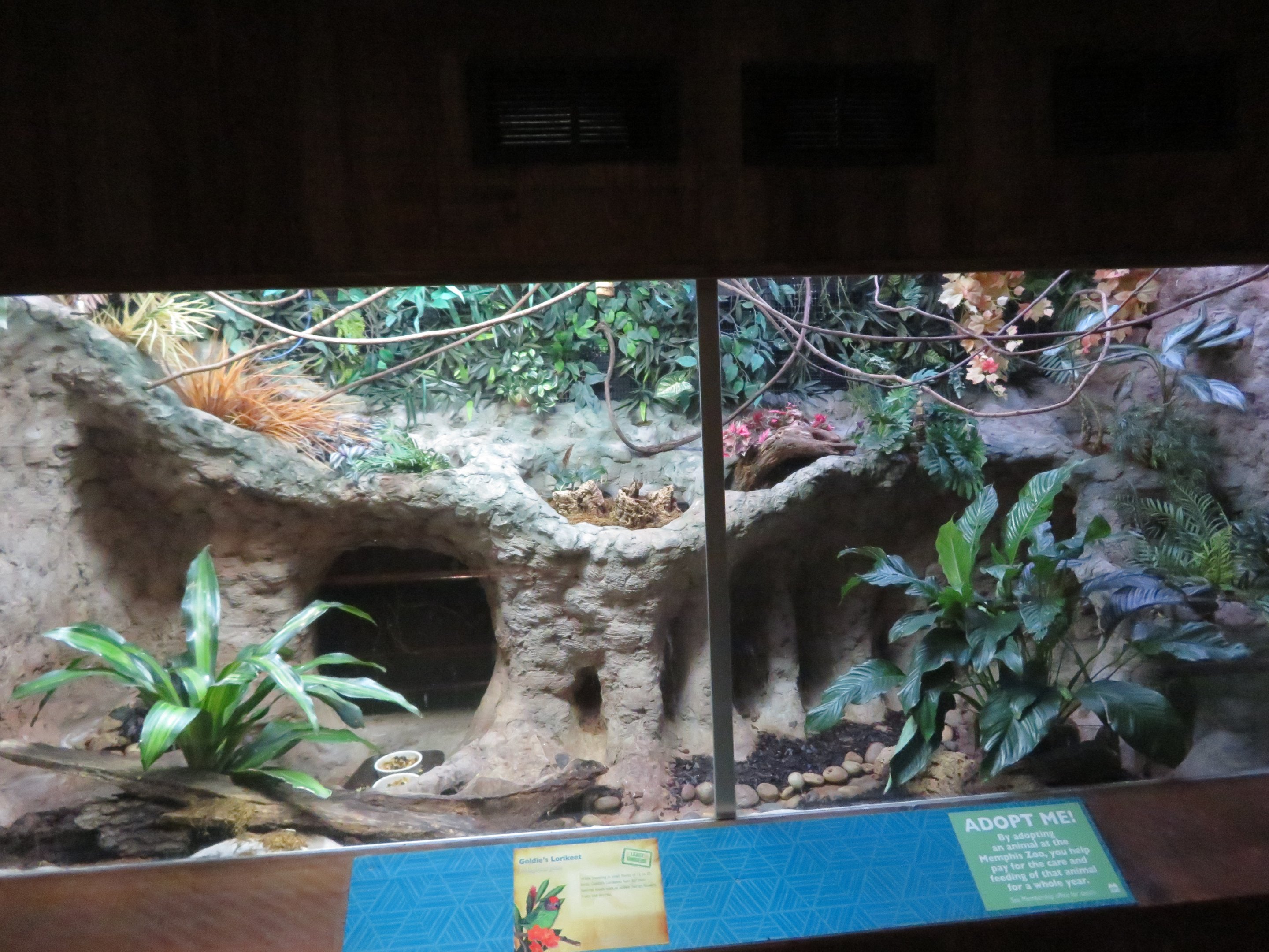 Goldie's Lorikeet Exhibit