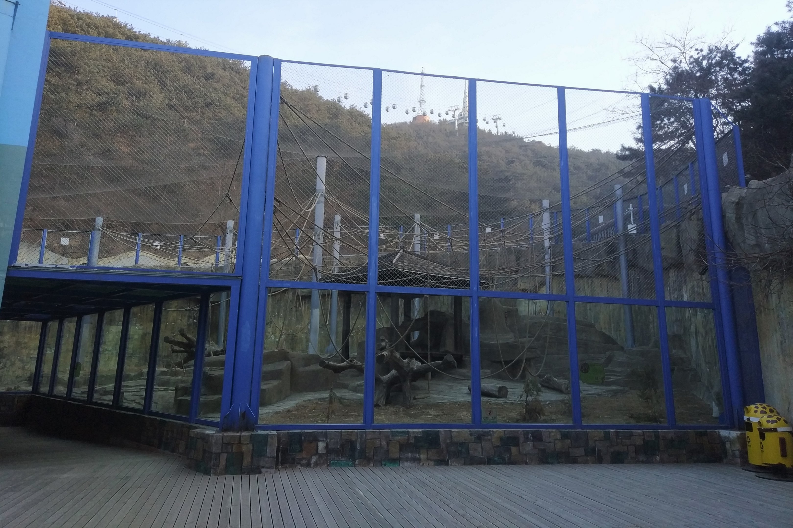 Goldon Monkey Exhibit