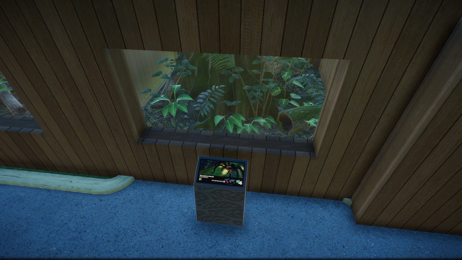 Goliath Birdeater Tank