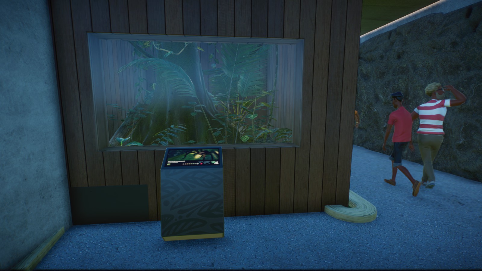 Goliath Birdeater Tank