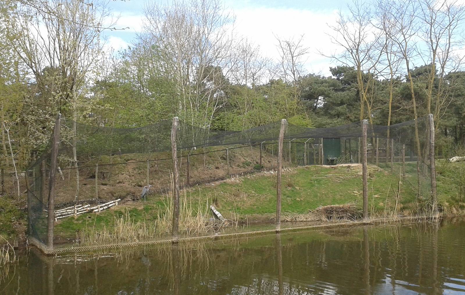 Goliath heron enclosure