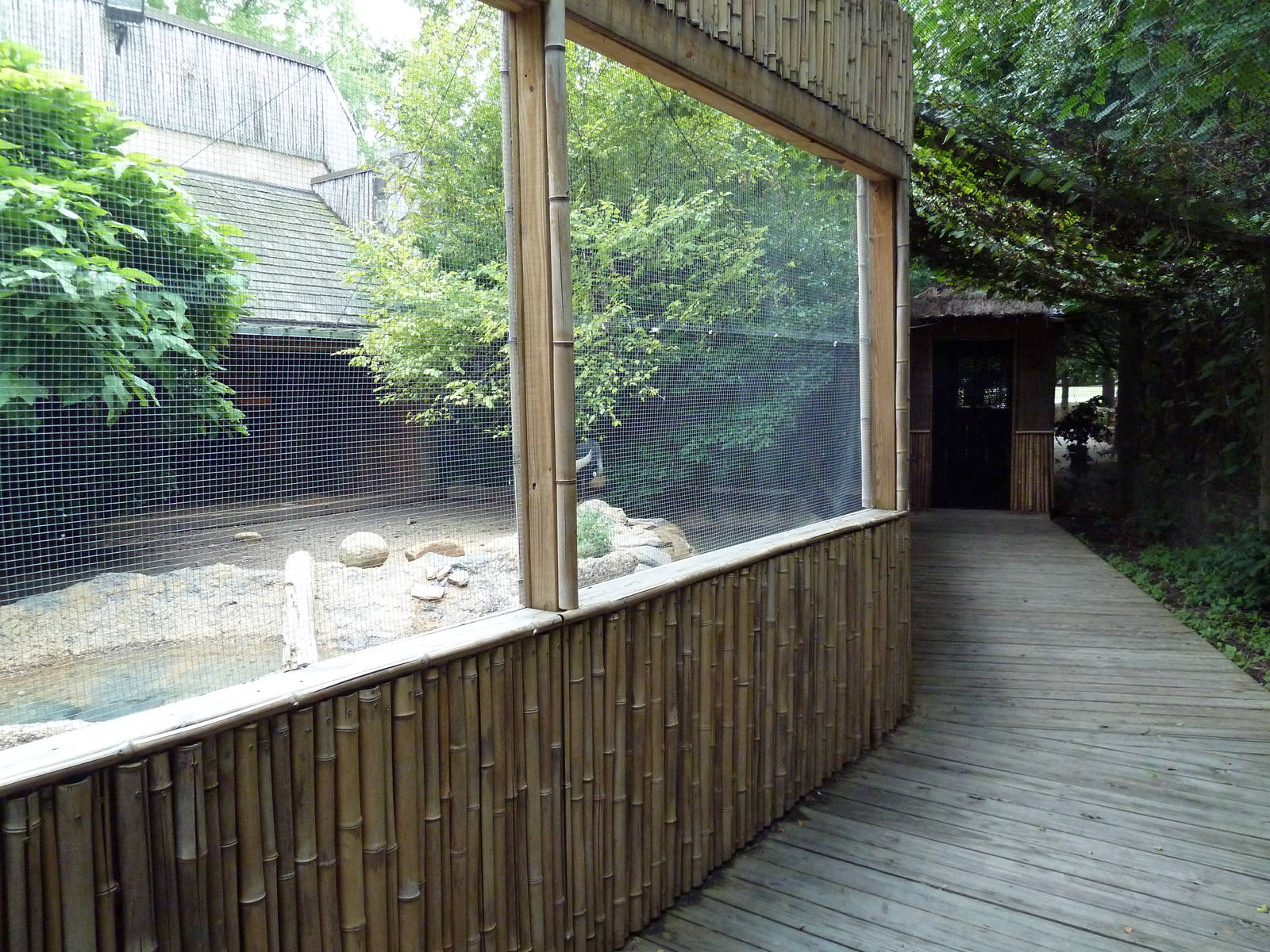 Gombe Forest - African Crowned Crane/Spur-Thighed Tortoise Exhibit