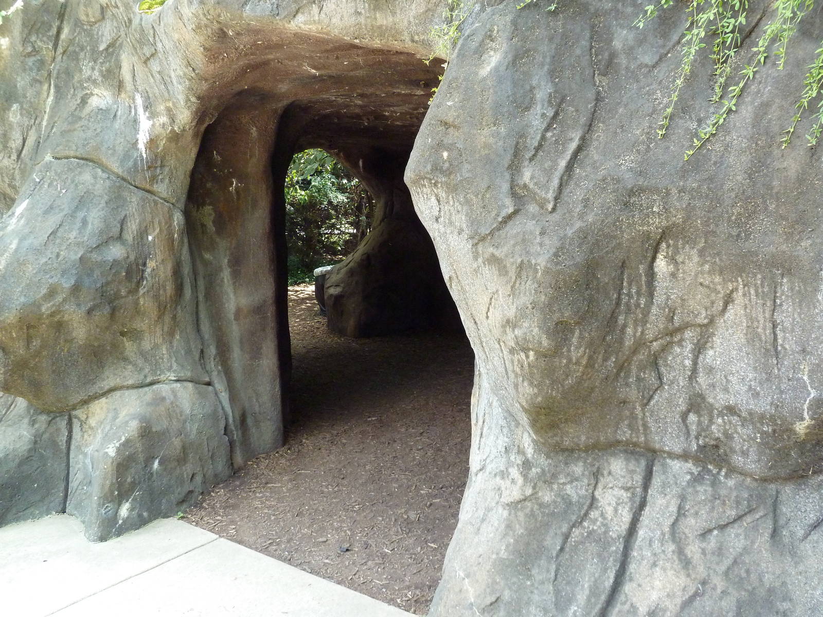 Gombe Forest - Chimpanzee Exhibit - Viewing Cave